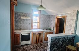 Casa individuala, 310 mp, zona Centrala 