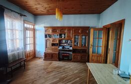Casa individuala, 310 mp, zona Centrala 