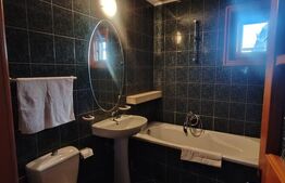 Casa individuala, 310 mp, zona Centrala 
