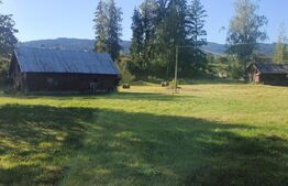 Teren intravilan, 5530 mp, zona Neagra Sarului - Vatra Dornei