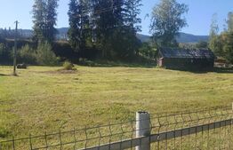Teren intravilan, 5530 mp, zona Neagra Sarului - Vatra Dornei