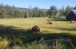 Teren intravilan, 5530 mp, zona Neagra Sarului - Vatra Dornei