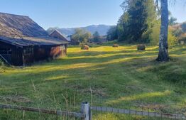 Teren intravilan, 5530 mp, zona Neagra Sarului - Vatra Dornei