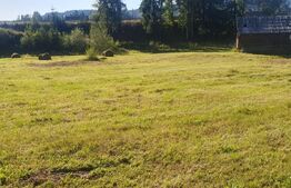 Teren intravilan, 5530 mp, zona Neagra Sarului - Vatra Dornei