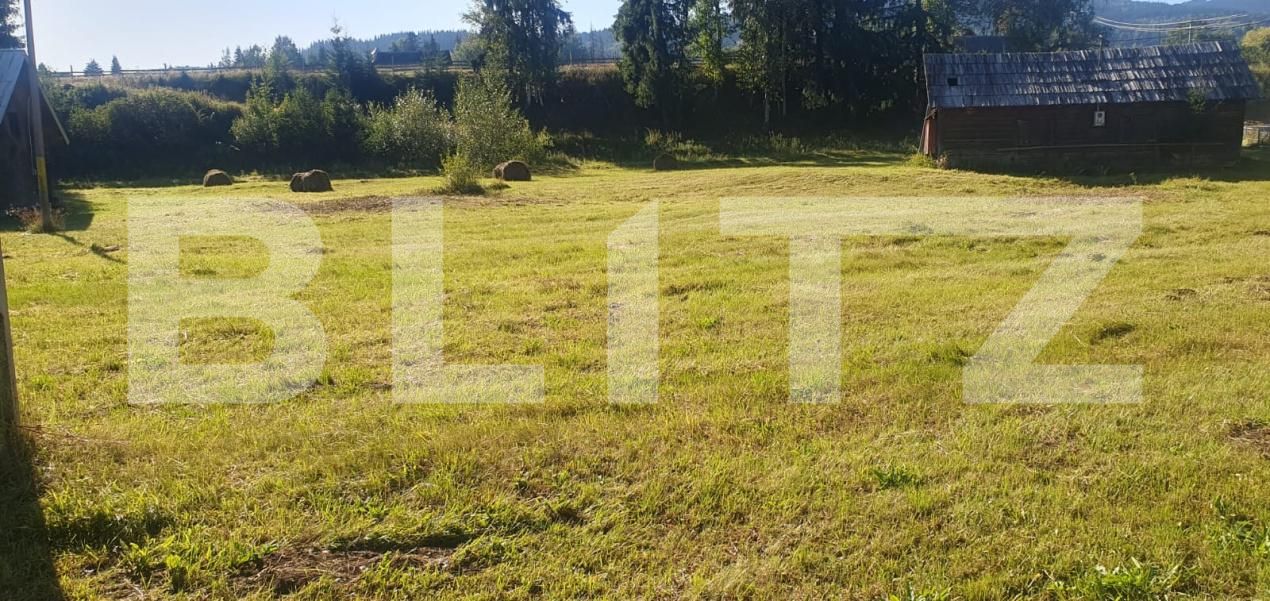 Teren de vânzare Vatra Dornei - 205384TV | BLITZ Suceava | Poza3