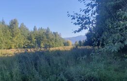 Teren intravilan, 14.540 mp, zona Neagra Sarului - Vatra Dornei