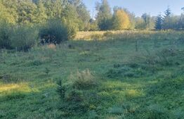 Teren intravilan, 14.540 mp, zona Neagra Sarului - Vatra Dornei