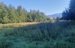Teren intravilan, 14.540 mp, zona Neagra Sarului - Vatra Dornei