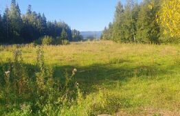 Teren intravilan, 14.540 mp, zona Neagra Sarului - Vatra Dornei