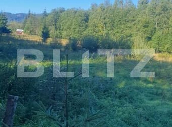 Teren de vânzare Vatra Dornei - 205388TV | BLITZ Suceava | Poza3