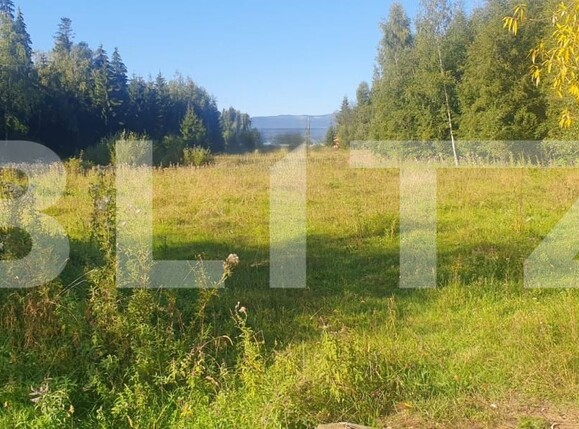 Teren de vânzare Vatra Dornei - 205388TV | BLITZ Suceava | Poza1
