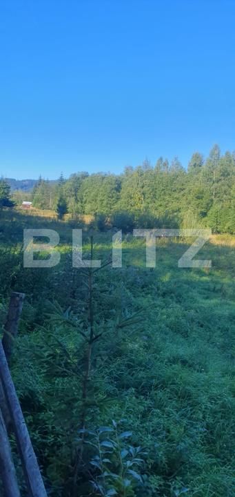 Teren de vânzare Vatra Dornei - 205388TV | BLITZ Suceava | Poza3