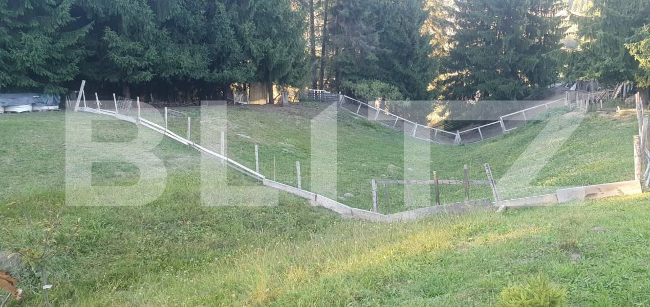 Teren de vânzare Vatra Dornei - 205397TV | BLITZ Suceava | Poza2