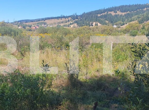 Teren de vânzare Vatra Dornei - 205402TV | BLITZ Suceava | Poza1