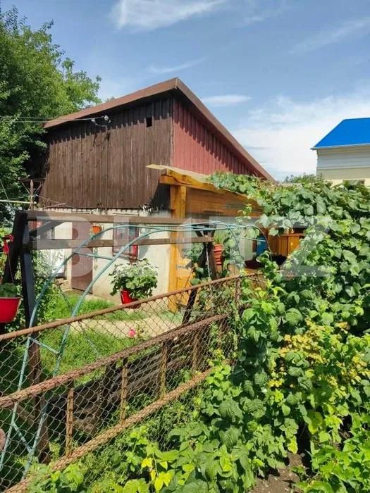 Casa de vânzare 4 camere Radauti - 205575CV | BLITZ Suceava | Poza2