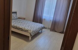Garsoniera de inchiriat, 27 mp, zona Doi Voievozi