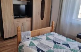 Garsoniera de inchiriat ,30mp, zona Doi Voievozi