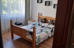 Garsoniera de inchiriat ,30mp, zona Doi Voievozi