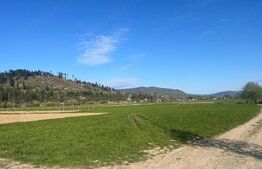 Teren intravilan de vaznare, 2.818 mp, zona Capu Campului