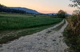 Teren intravilan de vaznare, 2.818 mp, zona Capu Campului