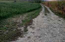 Teren intravilan de vaznare, 2.818 mp, zona Capu Campului