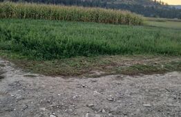 Teren intravilan de vaznare, 2.818 mp, zona Capu Campului