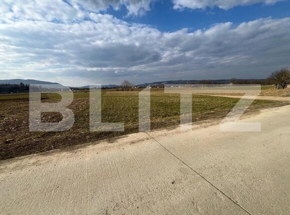 Teren de vânzare Capu Campului - 205971TV | BLITZ Suceava | Poza3
