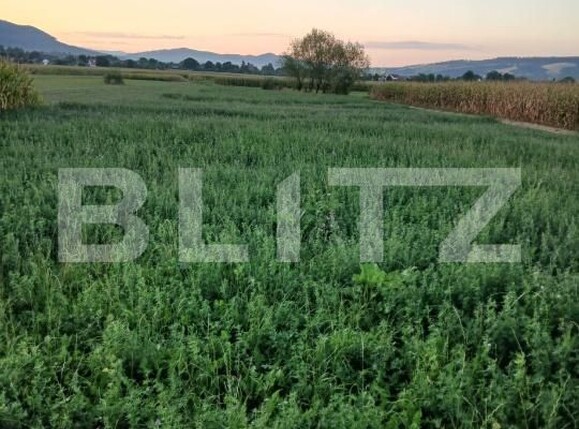 Teren de vânzare Capu Campului - 205971TV | BLITZ Suceava | Poza4