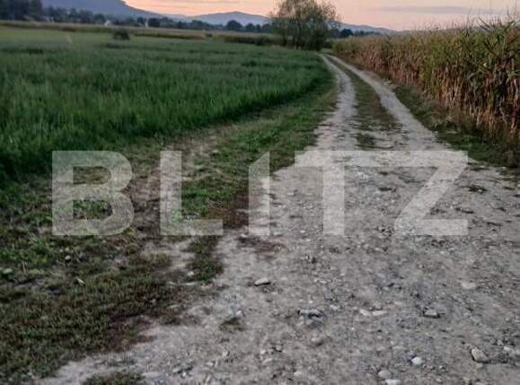 Teren de vânzare Capu Campului - 205971TV | BLITZ Suceava | Poza5