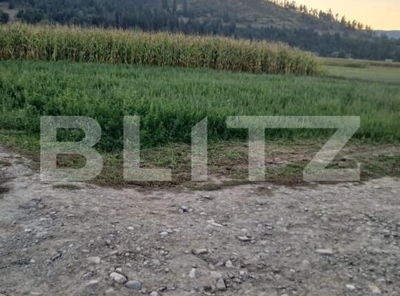 Teren de vânzare Capu Campului - 205971TV | BLITZ Suceava | Poza6