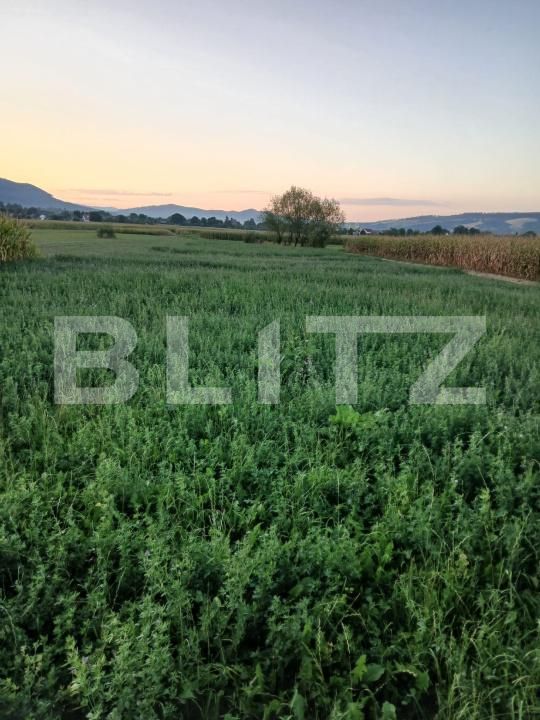 Teren de vânzare Capu Campului - 205971TV | BLITZ Suceava | Poza4