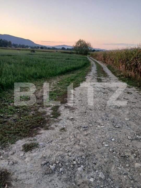 Teren de vânzare Capu Campului - 205971TV | BLITZ Suceava | Poza5