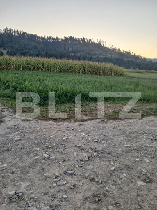 Teren de vânzare Capu Campului - 205971TV | BLITZ Suceava | Poza6