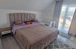 Casă individuală P+M, 133 mp, 400 mp teren, stradă asfaltată, zona Burdujeni