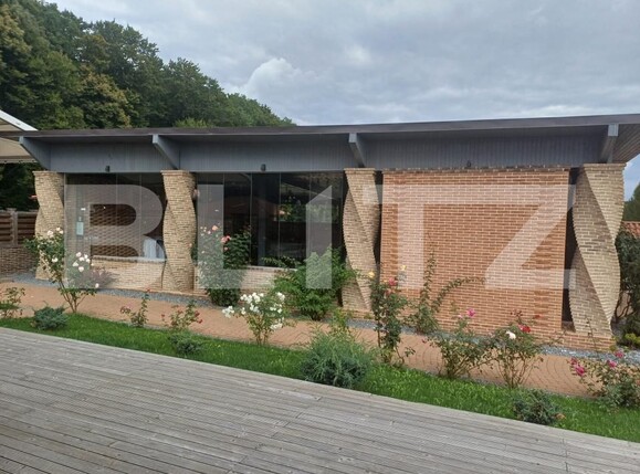 Spațiu comercial de vânzare Nord - 206235SVC | BLITZ Suceava | Poza13