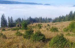 Teren extravilan, 50.000 mp, zona Vatra Dornei