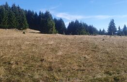 Teren extravilan, 50.000 mp, zona Vatra Dornei