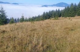 Teren extravilan, 50.000 mp, zona Vatra Dornei