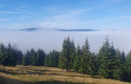 Teren extravilan, 50.000 mp, zona Vatra Dornei