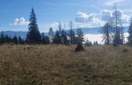 Teren extravilan, 50.000 mp, zona Vatra Dornei