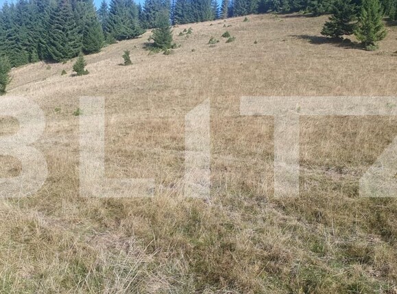 Teren de vânzare Vatra Dornei - 206313TV | BLITZ Suceava | Poza2