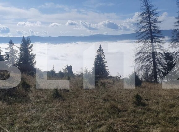 Teren de vânzare Vatra Dornei - 206313TV | BLITZ Suceava | Poza6