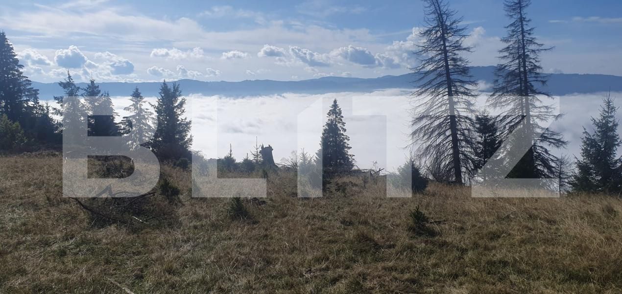 Teren de vânzare Vatra Dornei - 206313TV | BLITZ Suceava | Poza6