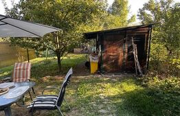 Casa de vanzare, 62 mp, teren 321 mp, zona Ultracentrala