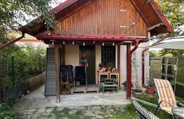 Casa de vanzare, 62 mp, teren 321 mp, zona Ultracentrala