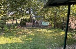 Casa de vanzare, 62 mp, teren 321 mp, zona Ultracentrala
