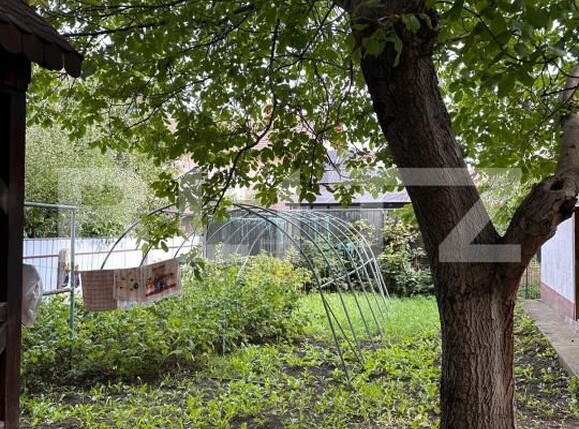 Casa de vânzare 5 camere Radauti - 206378CV | BLITZ Suceava | Poza8