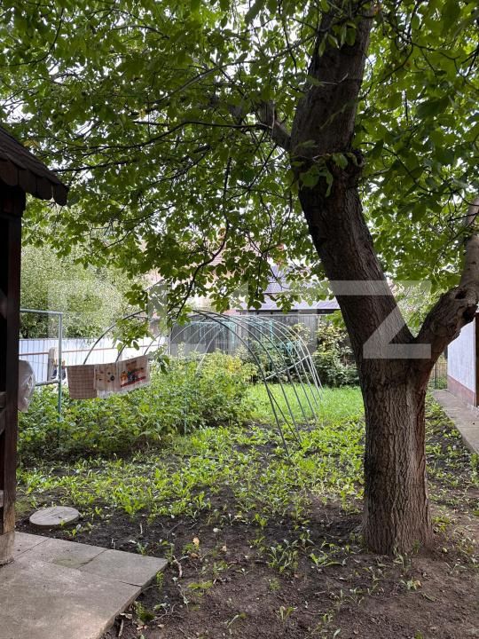 Casa de vânzare 5 camere Radauti - 206378CV | BLITZ Suceava | Poza8