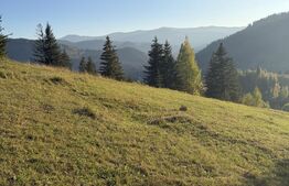 Teren de vânzare Campulung Moldovenesc - 207914TV | BLITZ Suceava | Poza1