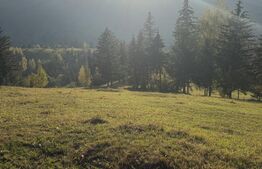 Teren extravilan, 22.870 mp, zona Sadova